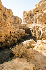 Image showing Pool of natural sea water