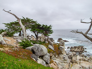 Image showing idyllic coastal scenery in California