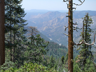 Image showing Yosemite National Park