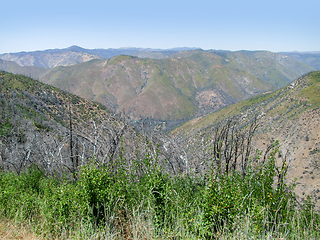 Image showing Yosemite National Park