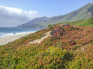 Image showing idyllic coastal scenery in California