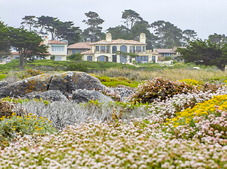 Image showing idyllic coastal scenery in California