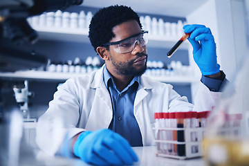 Image showing Science, blood and black man in laboratory with sample for research, medical exam and investigation. Healthcare, pharmaceutical and male scientist with test tube for dna study, cure and rna analysis