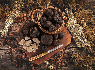 Image showing Gorgeous black truffle