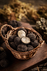 Image showing Black truffles mushrooms