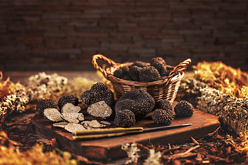 Image showing Expensive black truffle mushrooms