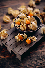 Image showing Physalis peruviana or cape gooseberry