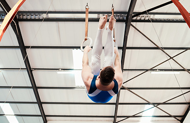 Image showing Man, acrobat and gymnastics hanging on rings in fitness for practice, training or workout at gym. Professional male gymnast on ring circles below for athletics, acrobatics or strength exercise