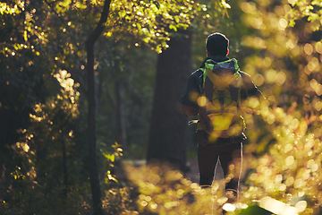 Image showing Hiker, backpacking and hiking in nature forest, trekking woods or trees for adventure, relax workout or fitness exercise. Behind man, walking or person in environment, healthcare or morning wellness