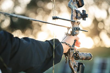 Image showing Hands, bow and arrow with aim for target, training and exercise for goal, mission and learning for sport. Shooting range, competition and archer with accuracy, exercise and focus for archery sports