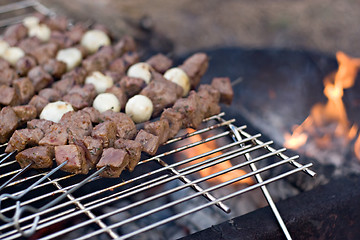 Image showing Shish Kebabs