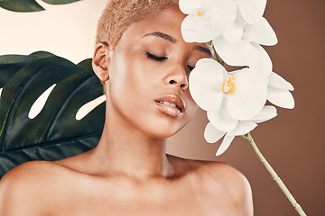 Image showing Orchid flower, plant skincare and calm black woman with spa aesthetic for luxury and wellness. Beauty, studio and cosmetics of a young model with plants for organic facial and dermatology treatment