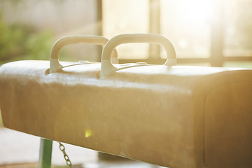 Image showing Gymnastics pommel horse in gym, training and equipment, exercise equipment and fitness for sports with handles. Sport beam to test athlete strength and balance, workout studio with gymnast club