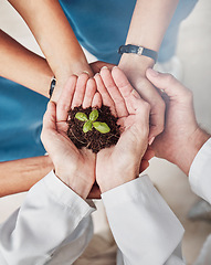 Image showing Group, hands support and seedling plant for doctors, teamwork or growth in medical career with mission. Doctor, nurse and top view of hand circle for solidarity, healthcare or team building for trust