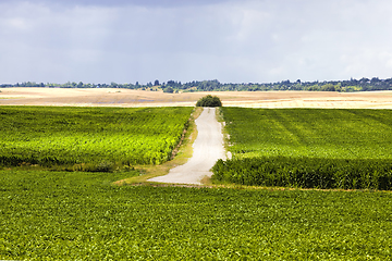 Image showing a road paved on the sand