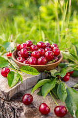 Image showing Bowl of fresh sour cherries