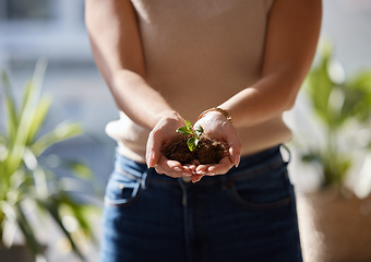 Image showing Plant in woman hands or palm on earth day, sustainability and gardening with growth hope, sustainable career and invest. Eco friendly, investment and person hand holding soil in green project startup