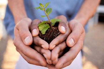 Image showing Plants, hands and people in teamwork, community and earth day for support, sustainability and climate change. Closeup, growth and holding soil, sand and spring leaf in nature, environment ngo or hope