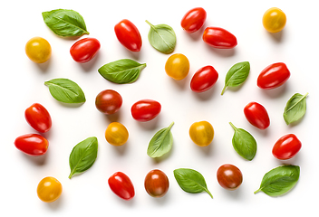 Image showing various colorful tomatoes and basil leaves