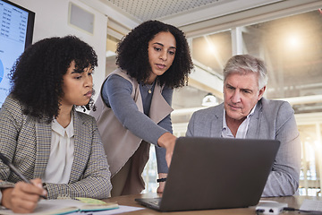 Image showing Training, business people on laptop for creative, collaboration or coaching on project review in office. Corporate, women and mentor with report, kpi and planning or teamwork idea for online proposal