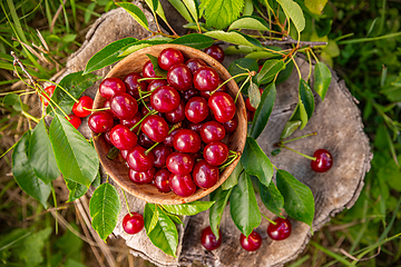 Image showing Fresh ripe juicy sour cherries