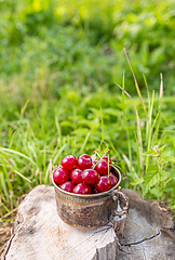 Image showing Fresh red cherries