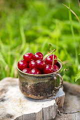 Image showing Fresh sour cherries