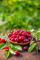 Image showing Bowl of fresh ripe cherries