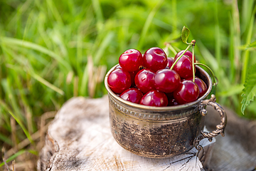 Image showing Sour cherries in summer time