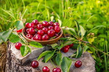 Image showing Pile of ripe cherries