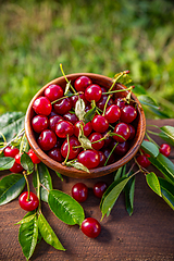 Image showing Ripe sour cherries