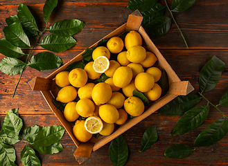 Image showing Top view of ripe lemons