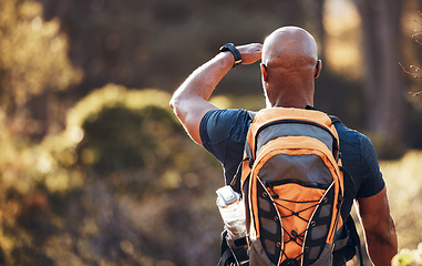 Image showing Health, hiking and fitness with black man in forest for sports, training and workout. Relax, peace and freedom with hiker trekking in nature enjoying view for travel, adventure and environment