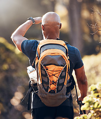 Image showing Backpacking, hiking and back of black man in forest for sports, training and workout. Relax, peace and freedom with hiker trekking in nature enjoying view for travel, adventure and environment