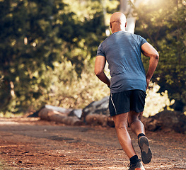 Image showing Back of black man running in park, nature and forest for cardio workout, exercise or training. Sports male, runner and outdoor fitness from behind for energy, healthy lifestyle and wellness in garden