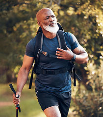 Image showing Fitness, hiking and serious with black man in forest for freedom, health and sports training. Exercise, peace and wellness with senior hiker trekking in nature for travel, summer break and adventure