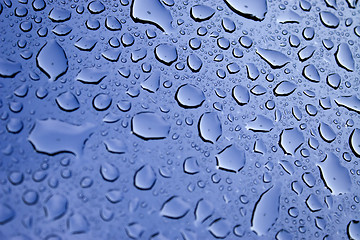 Image showing Water Droplets