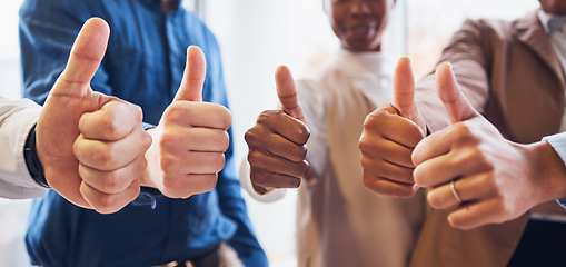 Image showing Business people, hands and thumbs up for success, good job or thank you in team agreement at office. Hand of group in teamwork showing thumb emoji, yes sign or like in support, winning or agree