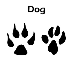 Image showing Dog Footprint