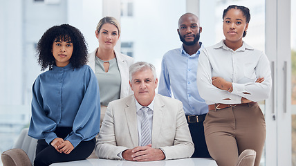 Image showing Serious, confident and portrait of business people in office for corporate, community and support. Management, teamwork and solidarity with group of employee for mission, planning or meeting