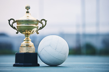 Image showing Gold, winner and sports with trophy and netball for achievement, award and championship. Celebration, fitness and victory with prize and ball on ground of court for event, competition and success