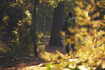 Image showing Person, backpacking and hiking in nature forest, trekking woods or trees for adventure, relax workout or fitness exercise. Behind man, walking or hiker in environment, healthcare or morning wellness