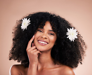 Image showing Portrait, hair care and black woman with flowers, smile and texture with girl on brown studio background. Face, African American female and lady with plants, florals and confident with afro or volume