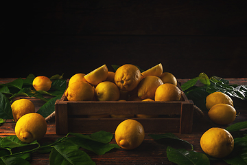 Image showing Crate of freshly picked lemons