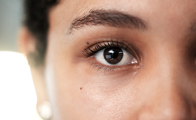 Image showing Eyes, vision and eye care with woman and face closeup, contact lens with lashes and eyebrow, focus and optometry Cosmetic, eyesight and female perspective with iris, ophthalmology and health