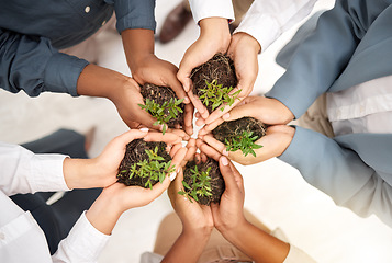 Image showing Teamwork, environment and plant with hands of business people from top view for sustainability, earth day or growth. Wellness, support and soil with group for climate change, future and eco friendly