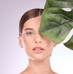 Image showing Woman, portrait and monstera leaf for beauty, natural cosmetics and aesthetic wellness on studio background. Face, model and skincare from plants, green leaves and sustainability of vegan dermatology