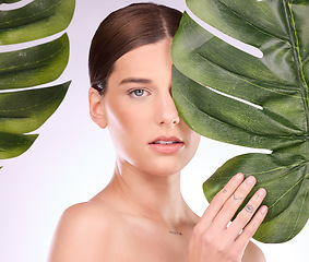 Image showing Woman, portrait and monstera plants for beauty, natural cosmetics and aesthetic wellness on studio background. Face, model and skincare from green leaves, leaf and sustainability of vegan dermatology