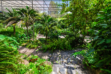 Image showing The cold house Estufa Fria is a greenhouse with gardens, ponds, plants and trees in Lisbon, Portugal