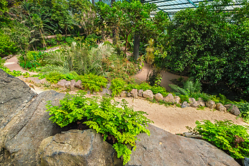 Image showing The cold house Estufa Fria is a greenhouse with gardens, ponds, plants and trees in Lisbon, Portugal